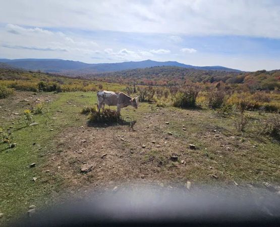 Fox Creek Horse Camp