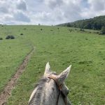Rocky Hollow Horse Camp