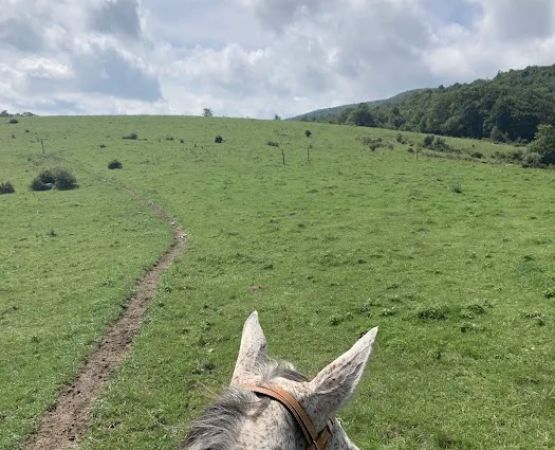 Rocky Hollow Horse Camp