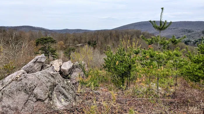 Rocky Hollow Horse Camp 6