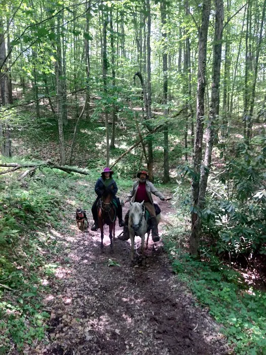 Rocky Hollow Horse Camp 8