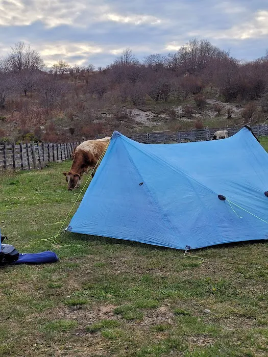 Scales Campground 1
