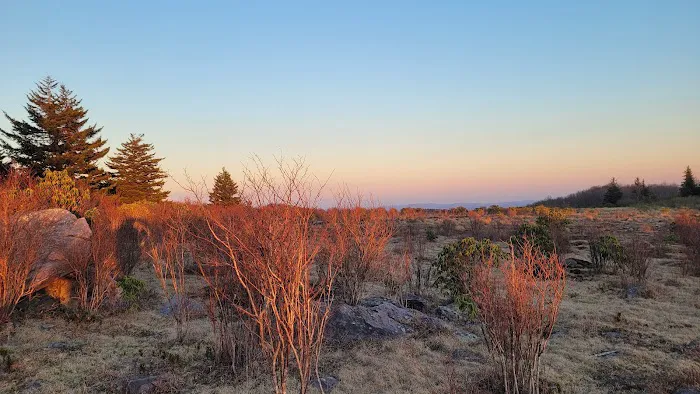 Scales Campground 4