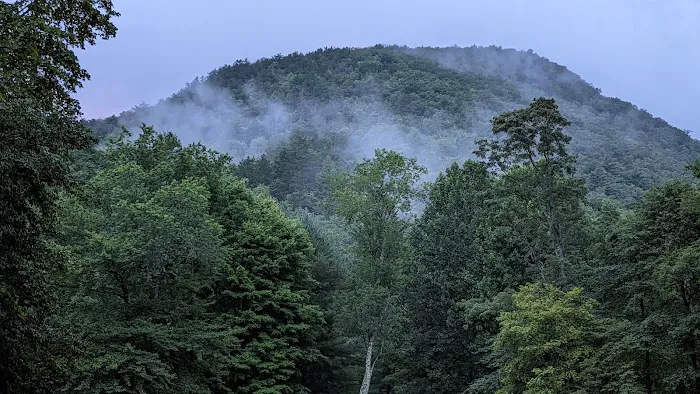 Raccoon Branch Campground 8