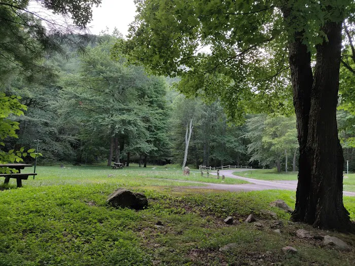 Raccoon Branch Campground 3