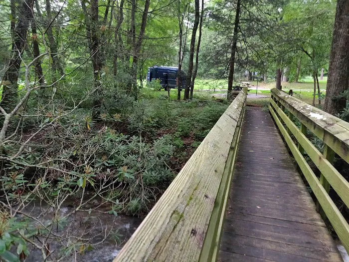 Raccoon Branch Campground 5