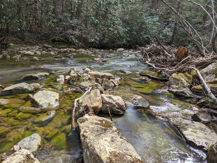 Raccoon Branch Campground 9