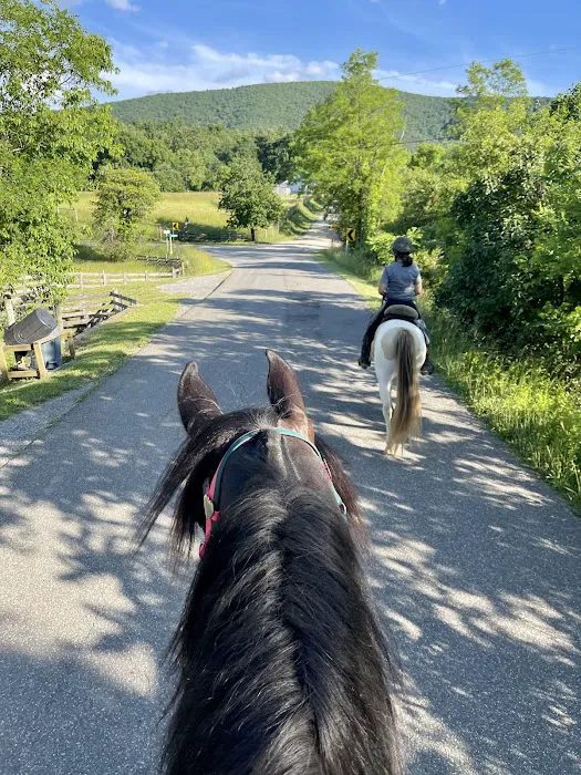 Iron Mountain Horse Camp 8