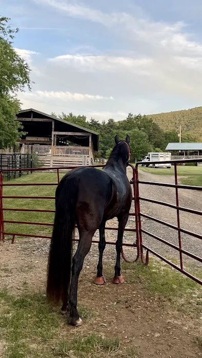 Iron Mountain Horse Camp 3