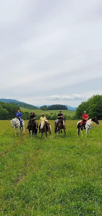Iron Mountain Horse Camp 2