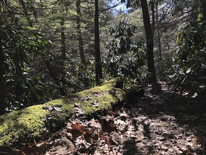 Comers Rock Recreation Area 6