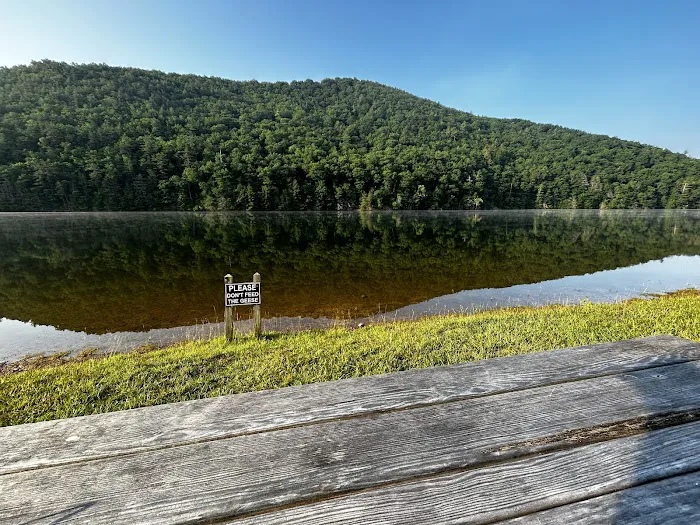 Gatewood Park Campground 4