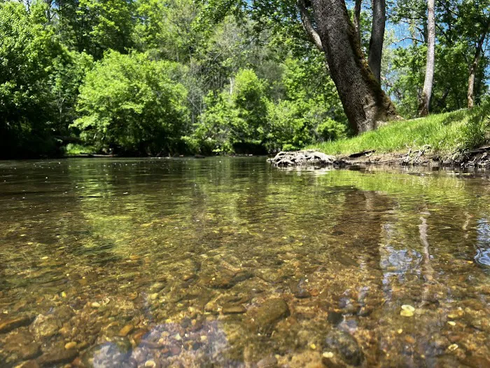 Paddlers Creekside Campground 2