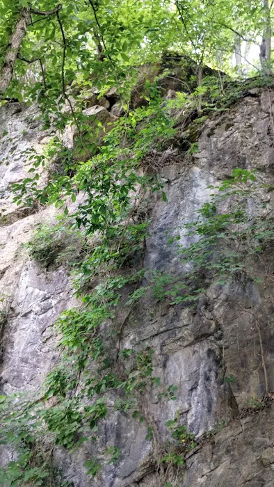 Goat mountain tVA 5
