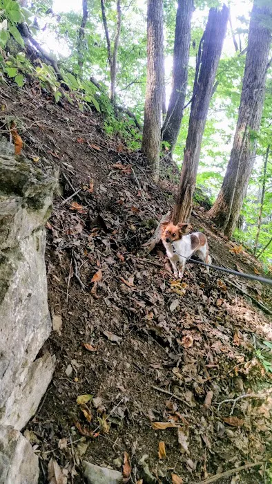 Goat mountain tVA 3