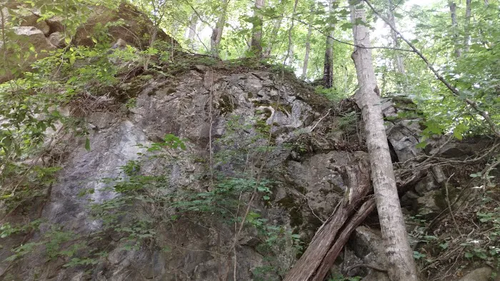 Goat mountain tVA 7