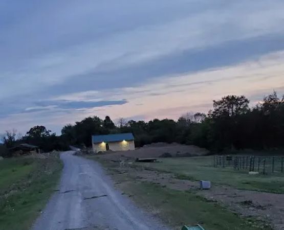 McMillan Farms llc