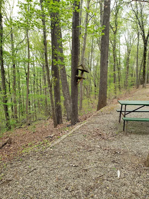Deer Run Campgrounds 8