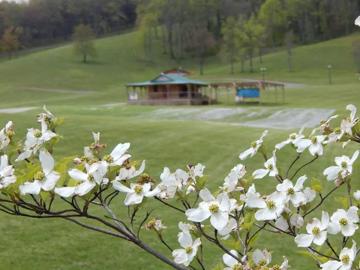 Floyd Family Campground 1