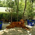 Corn Creek Camp & Cabins