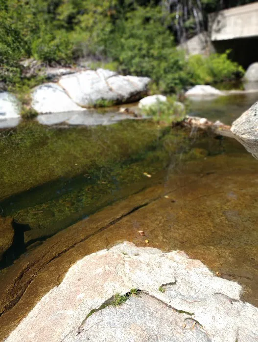 South Fork Group Campground 7