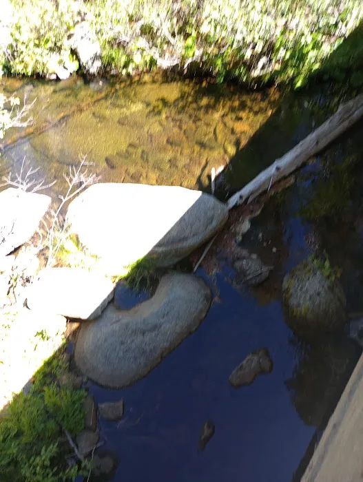 South Fork Group Campground 2