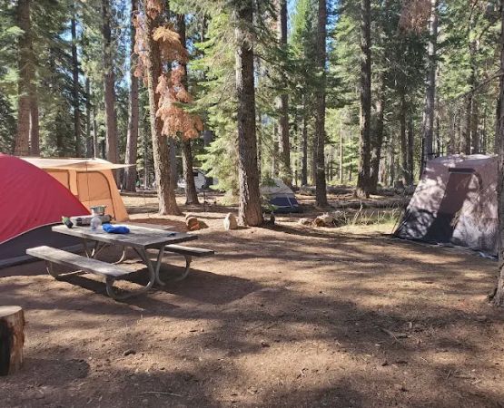 South Fork Group Campground