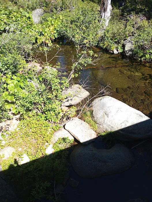 South Fork Group Campground 5