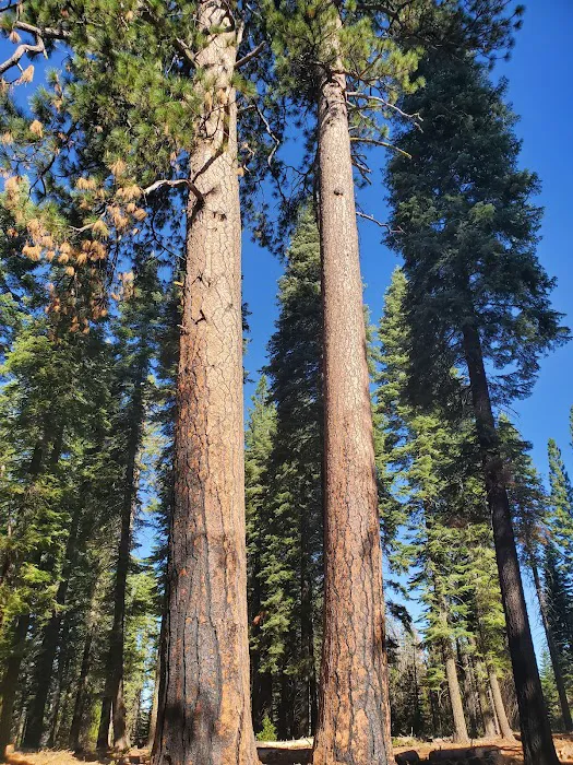 South Fork Group Campground 1