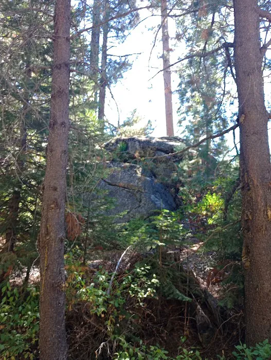 South Fork Group Campground 9