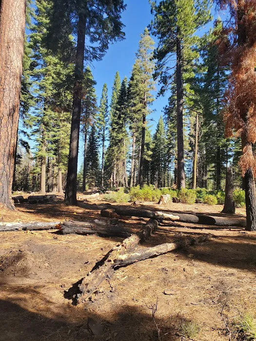 South Fork Group Campground 6