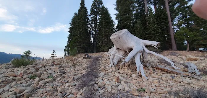 French Meadows Campground 7