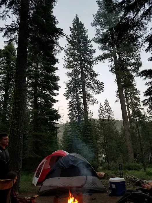 Lewis At French Meadows 4