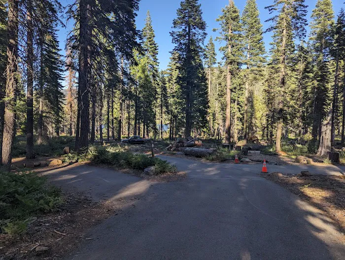 Lewis At French Meadows 8