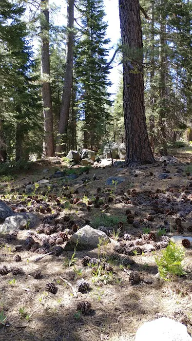 Black Bear Campground 1