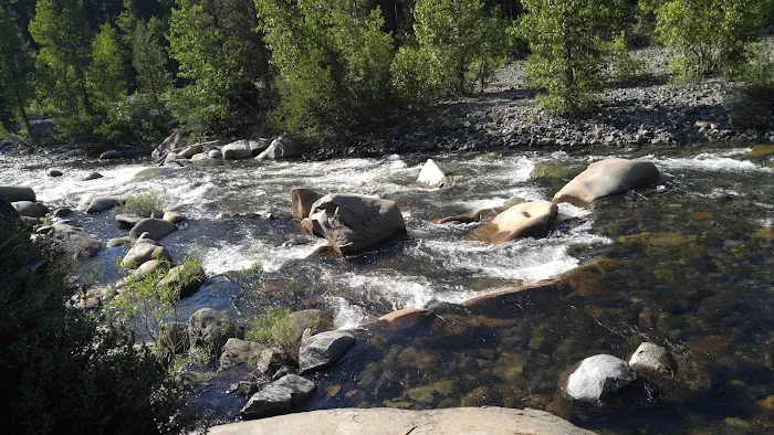 Black Bear Campground 7