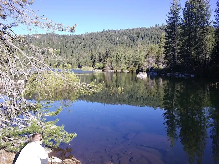 Black Bear Campground 4