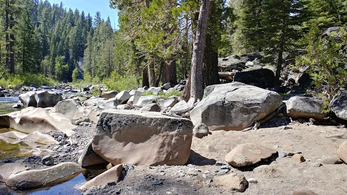 Black Bear Campground 8