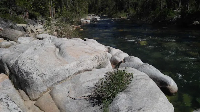 Black Bear Campground 0