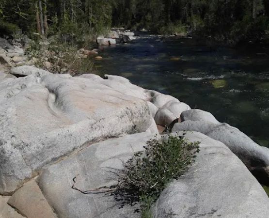 Black Bear Campground
