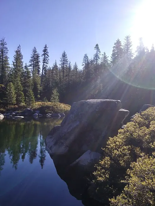 Black Bear Campground 5
