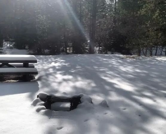 Ahart Campground