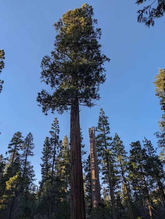 Airport Flat Campground 3