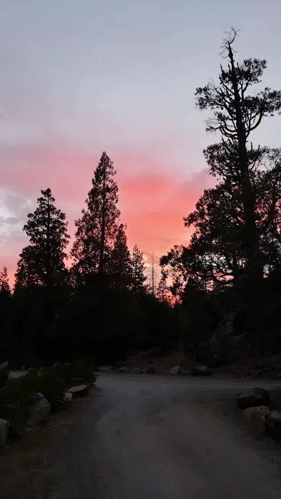 Airport Flat Campground 2