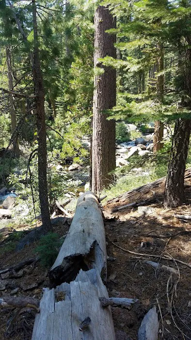 Airport Flat Campground 7