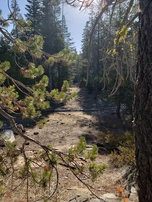 Airport Flat Campground 8