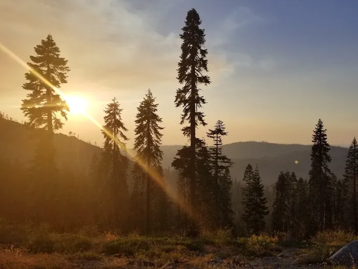 Robinsons Flat Campground 4