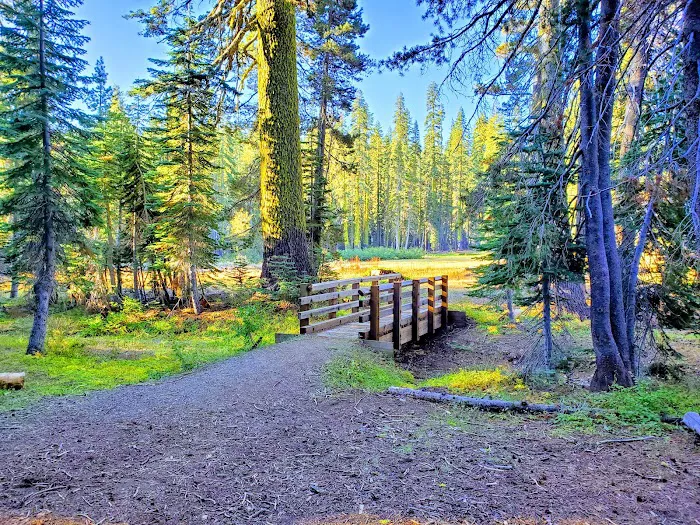 Robinsons Flat Campground 7