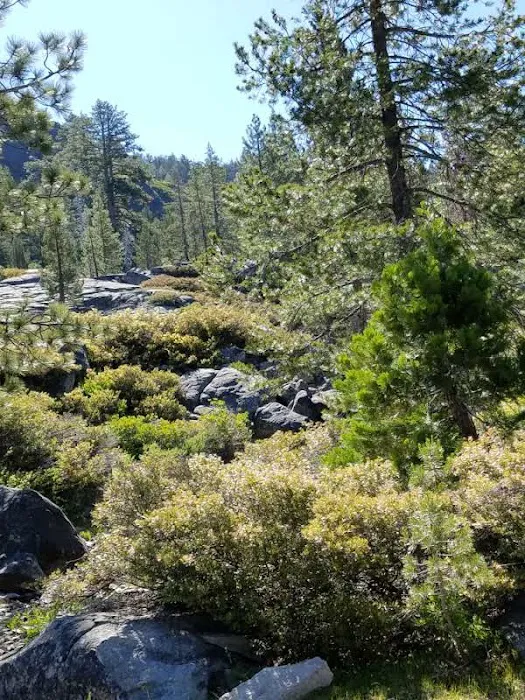 Wentworth Springs Campground 9