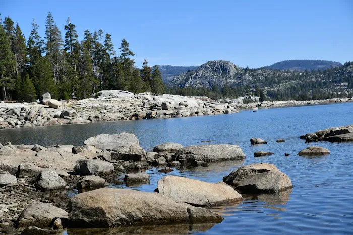 Loon Lake Group Campground #1 8